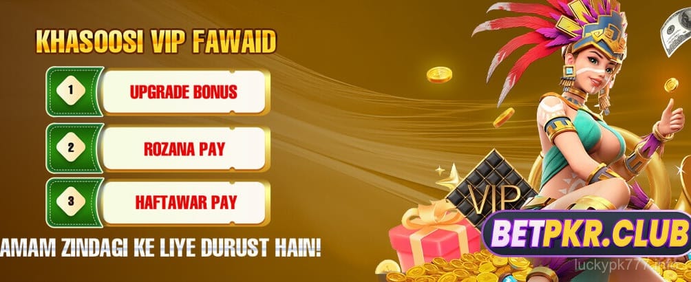 Daily Bonuses & Special Offers